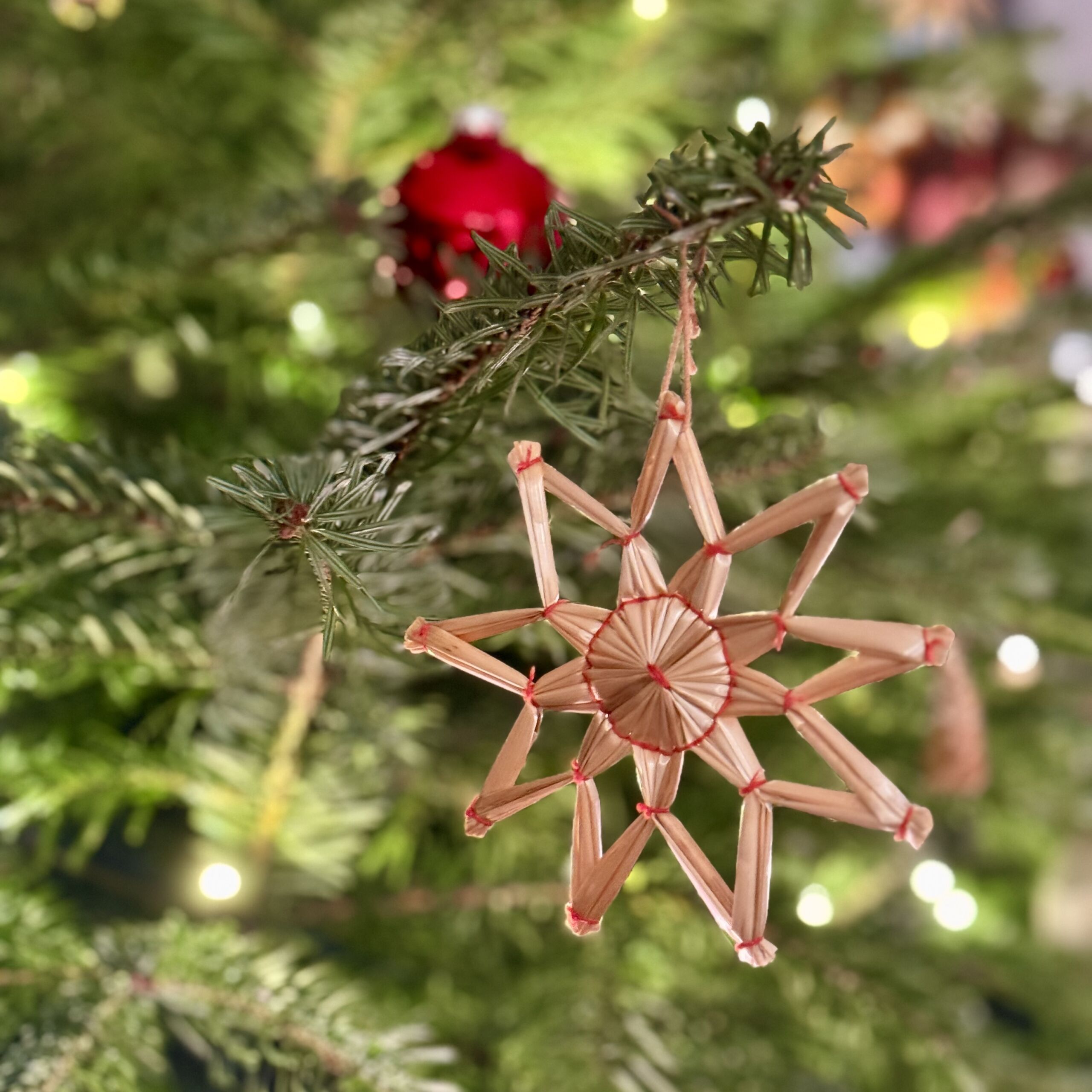 Traditioneller Strohstern hängt an einem Tannenbaum, unscharfer Hintergrund mit weiteren Weihnachtsbaumdekorationen.